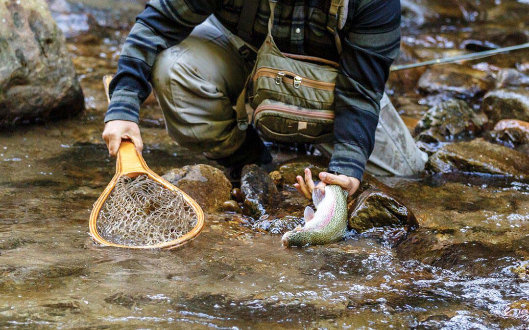 Beloved Fishing Contest