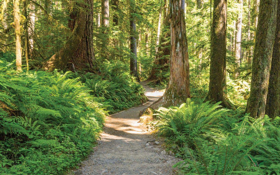 An Entire Month of Glory