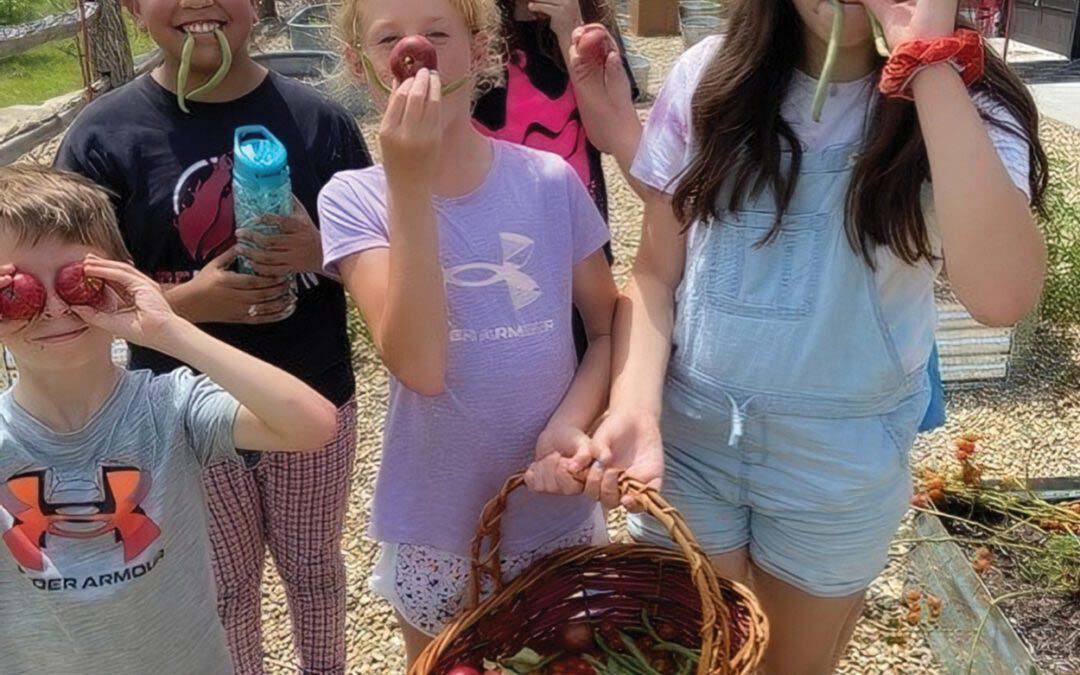 Celebrating 10 Years