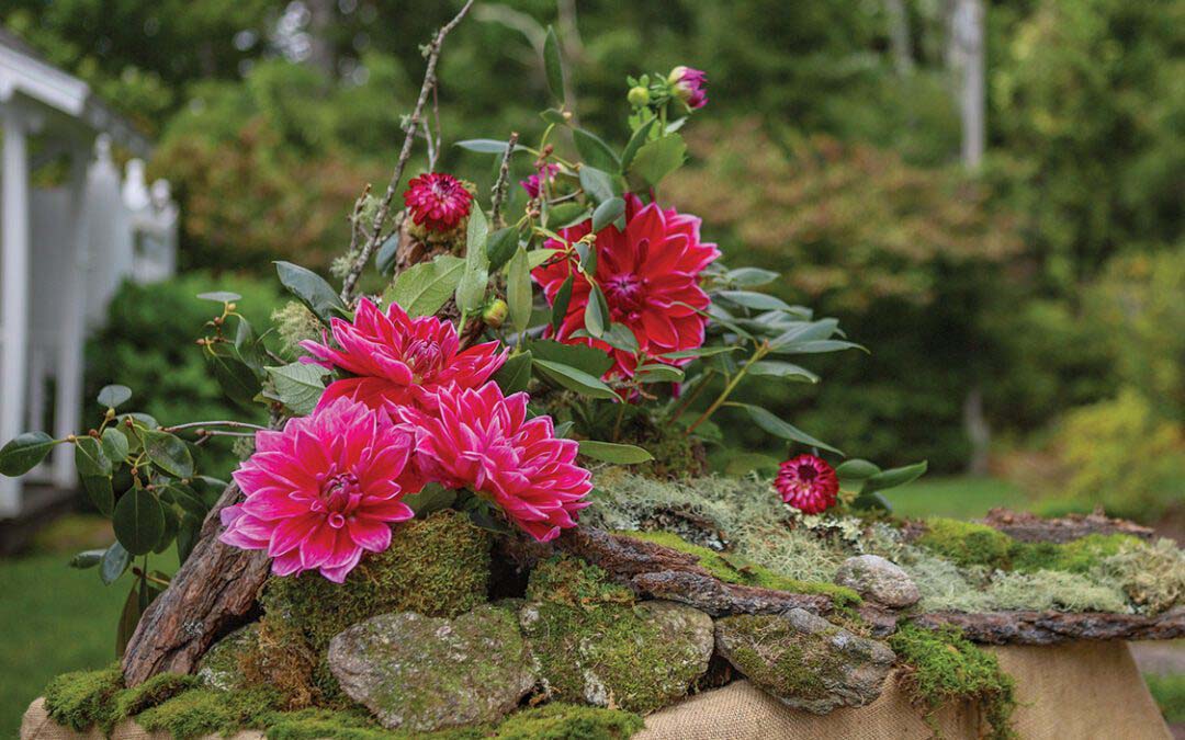 Celebrating Tradition