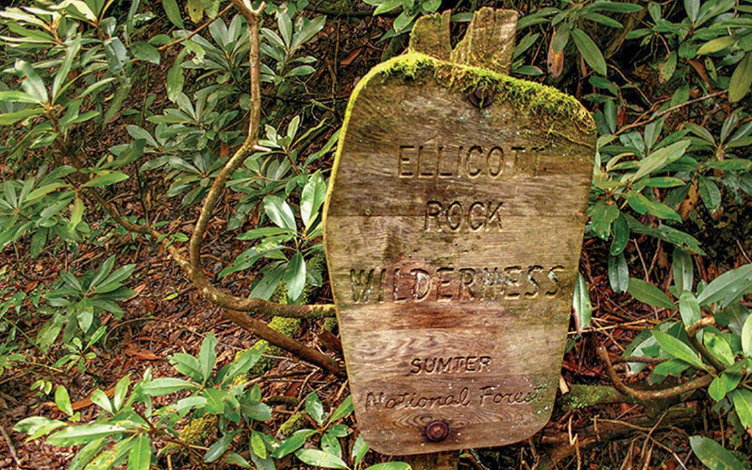 Thank you, U.S. Forest Service!