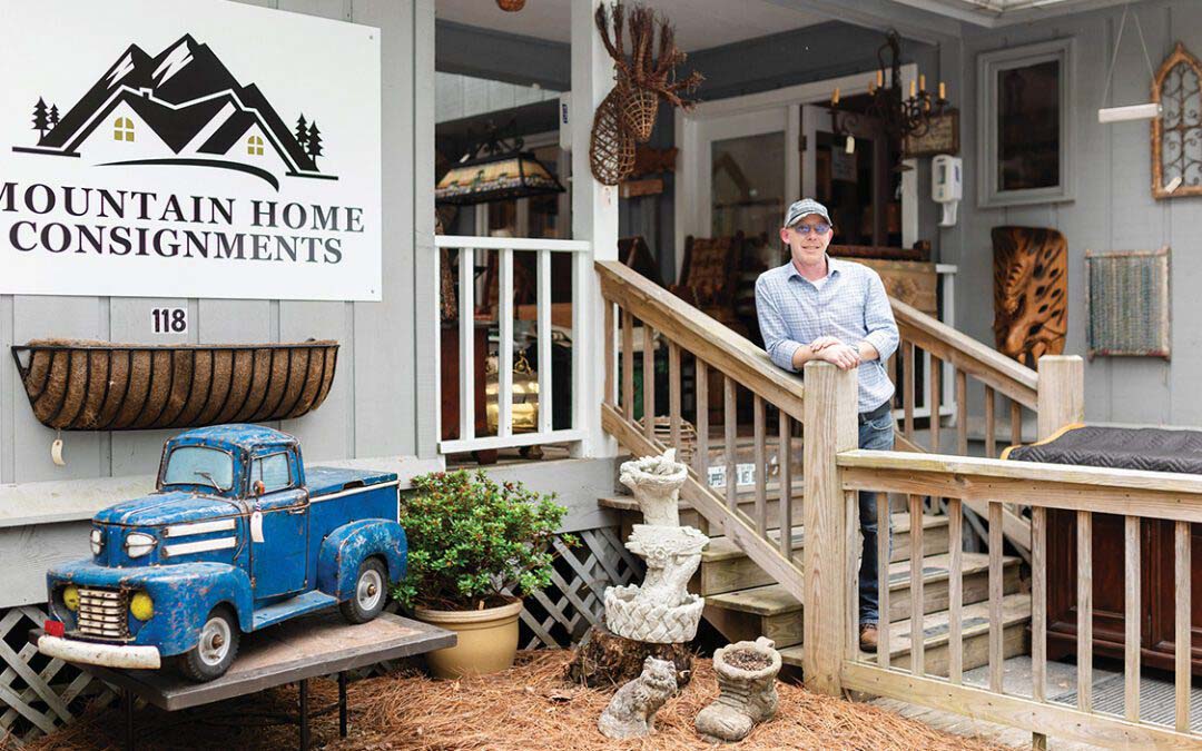 A Curated Collection