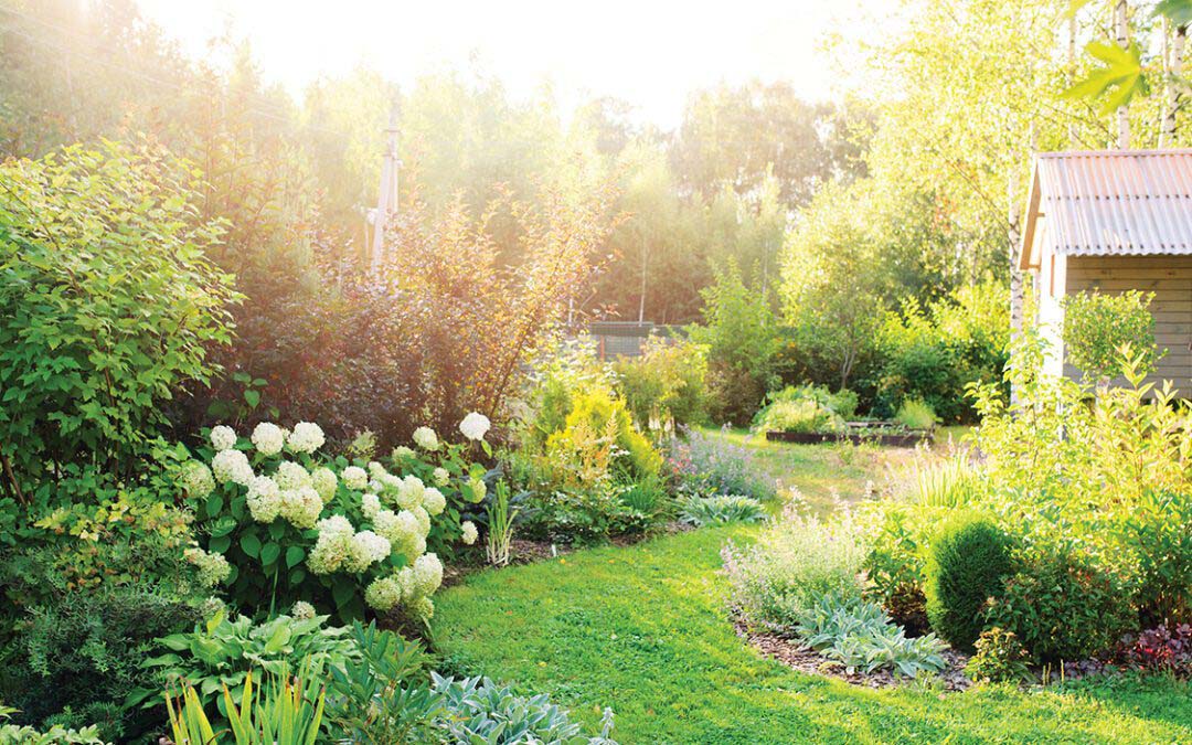 How Grandmother’s Garden Grew