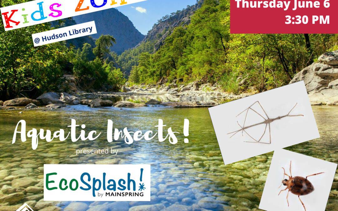 Your Adventure Begins at Hudson Library this Summer!