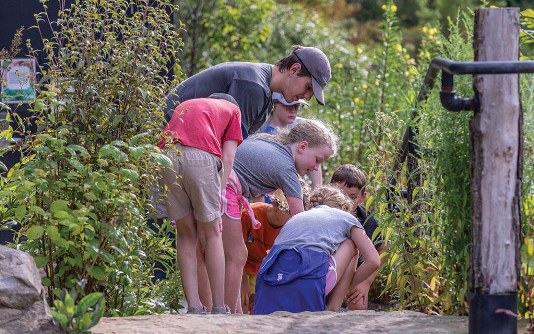 Embrace the Wonders of Summer