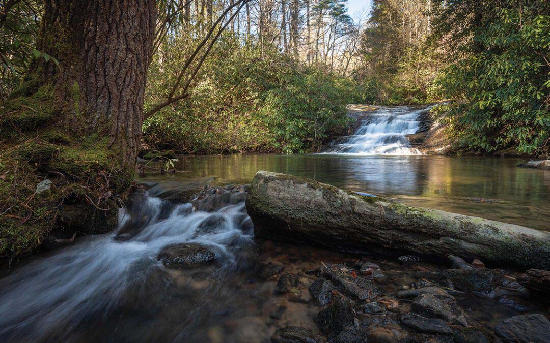 Live Amongst Nature’s Beauty