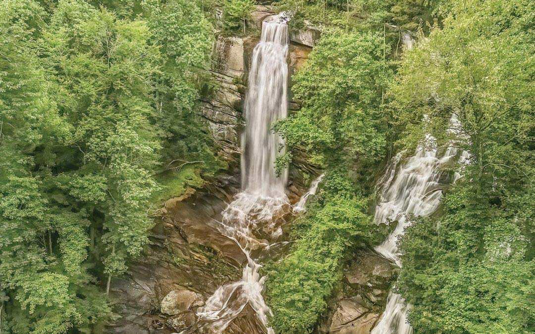 Surrender to the Falls