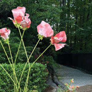 cashiers-walk0cashiers-new-trail-pic