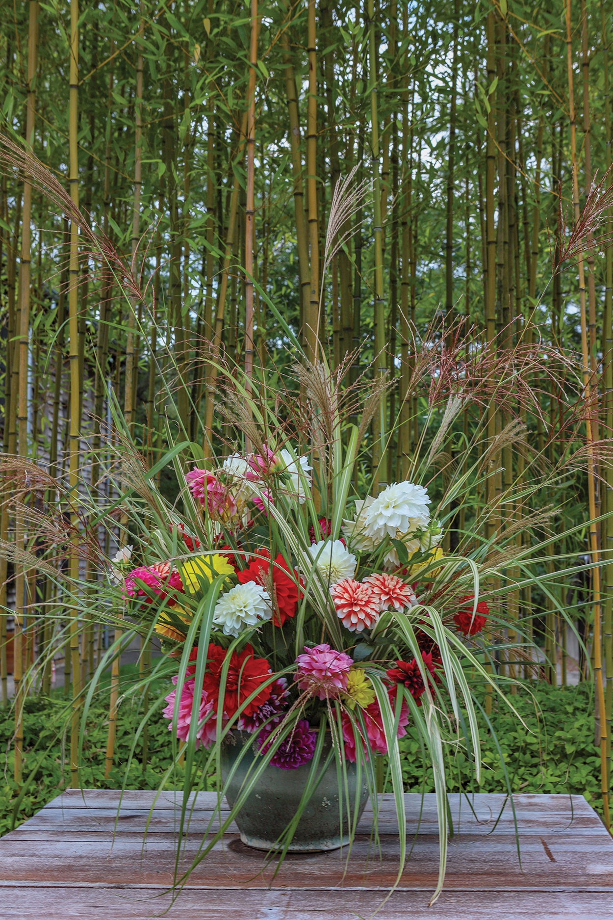 highlands-nc-dahlia-festival-janie-bean