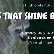 highlands-nc-highlands-nature-center-eyeshine