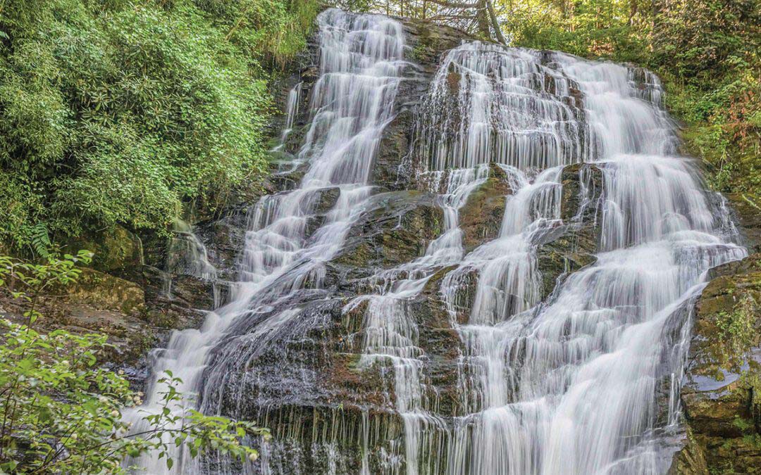 Falling for This View