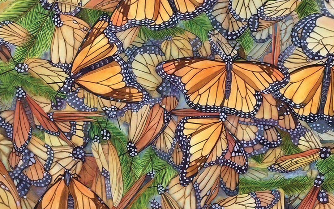 A Passion for Plants and Creatures