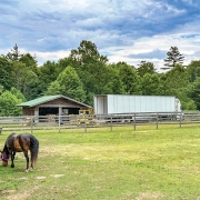 highlands-nc-carpe-diem-farms