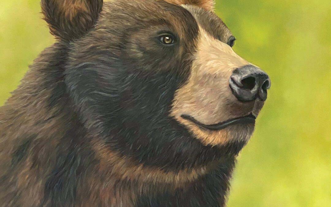 Where Surface Meets Paint