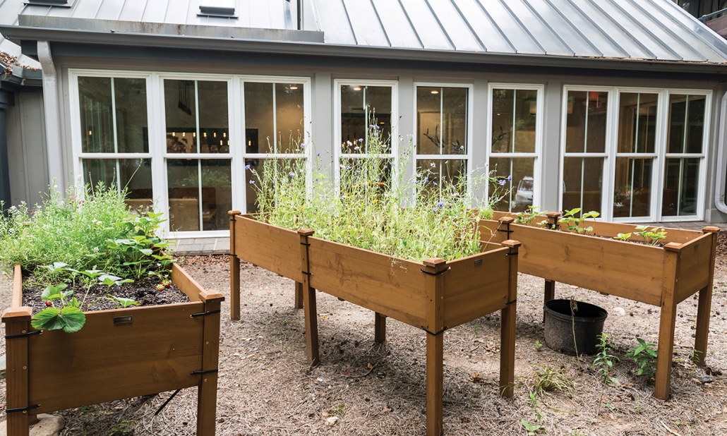 highlands-nc-dining-root-vine-garden