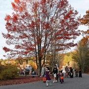 cashiers-nc-halloween-crowd