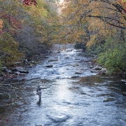 highlands-cashiers-plateau-fly-fishing.jpg