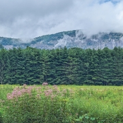 highlands-nc-Horse-Cove