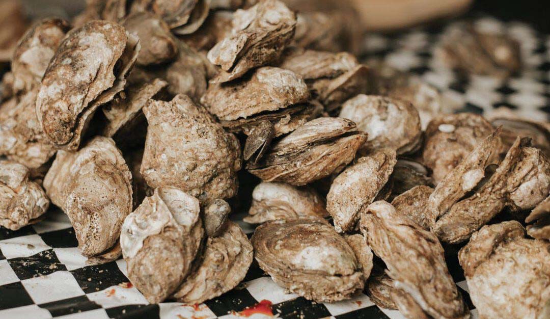 Highlands On The Half Shell with Highlands Biological Foundation