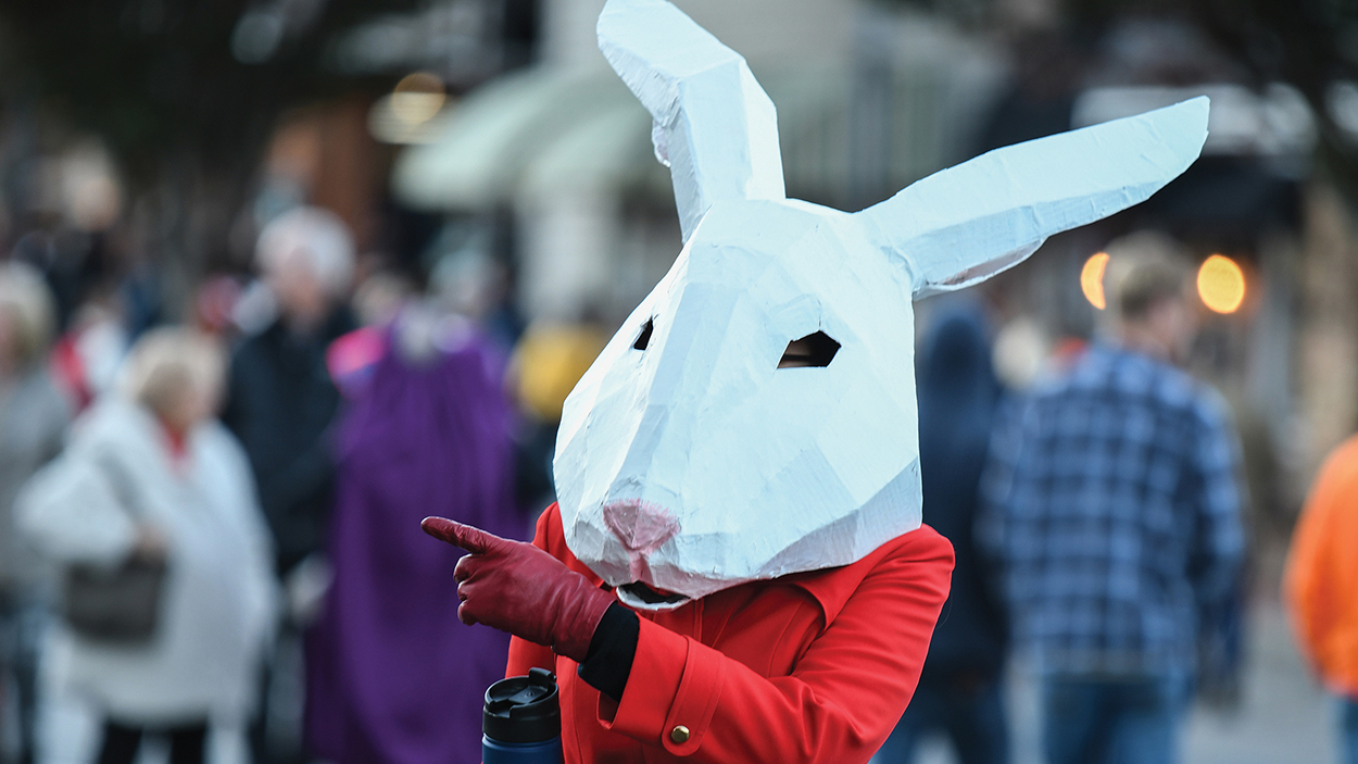 highlands-nc-halloween-greg-newington-rabbit