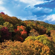 highlands-nc-cashiers-land-trust-brushy-face