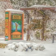 highlands-nc-hudson library-snow-Resize