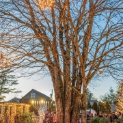 highlands-nc-lighting-Menorah