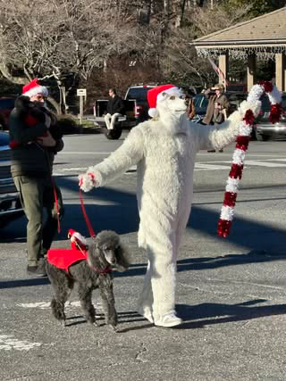 cashiers-nc-christmas-parade-award-winner-florida-poodle-rescue-2jpg