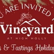 highlands-nc-vineyard-high-holly-christmas-party