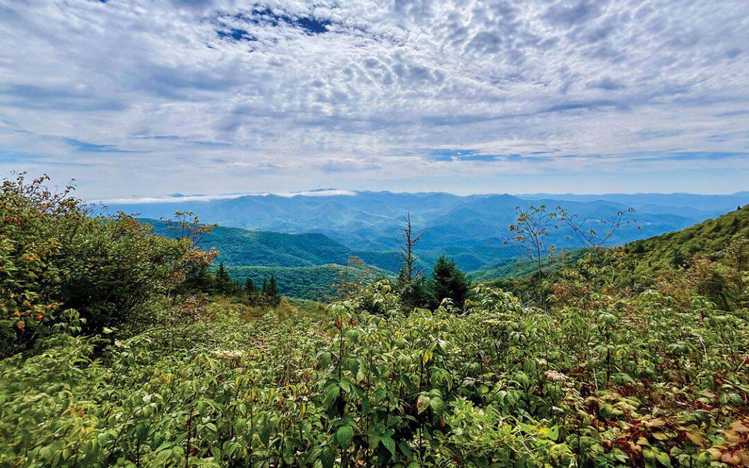 The Majesty of Blackrock