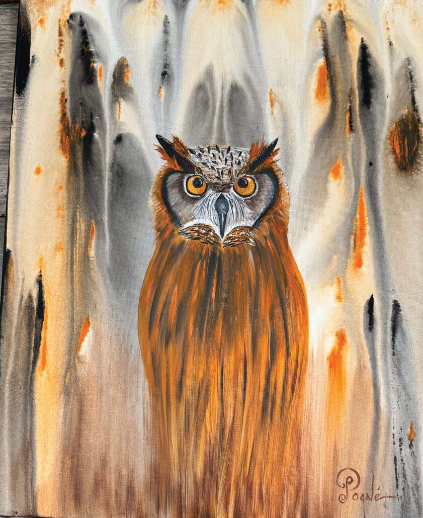 april-2025-cover-artist-cashiers-Poane-owl