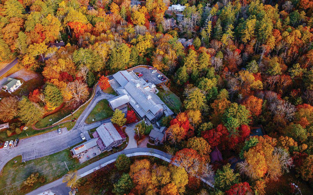 Strength,  Resilience, And  Gratitude