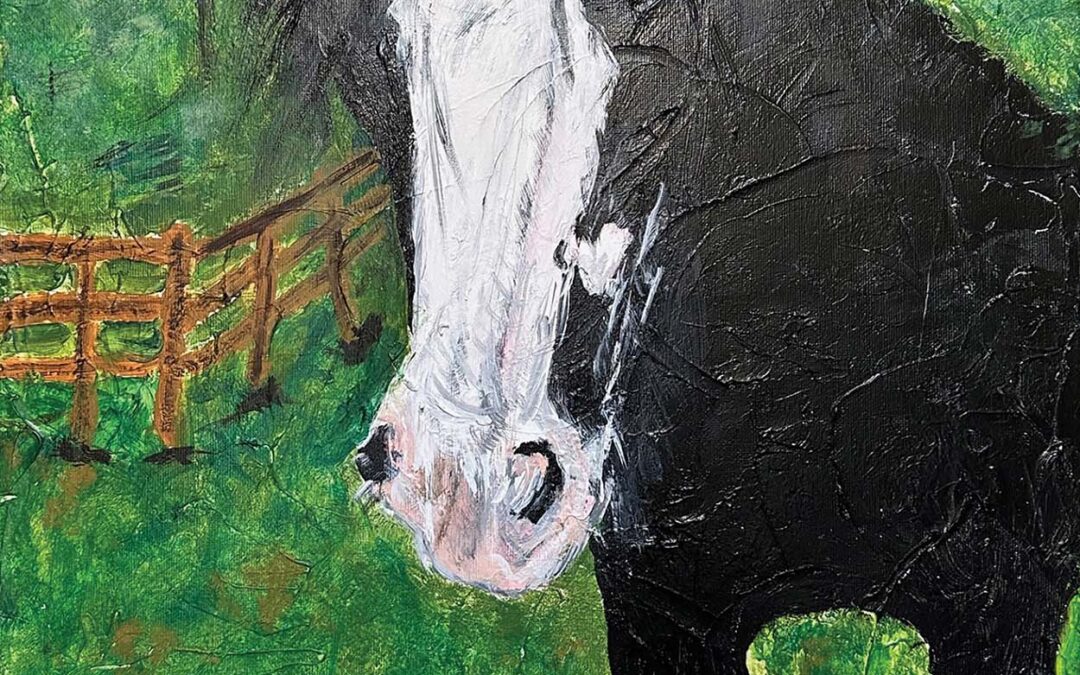 highlands-nc-carpe-diem-horse-1