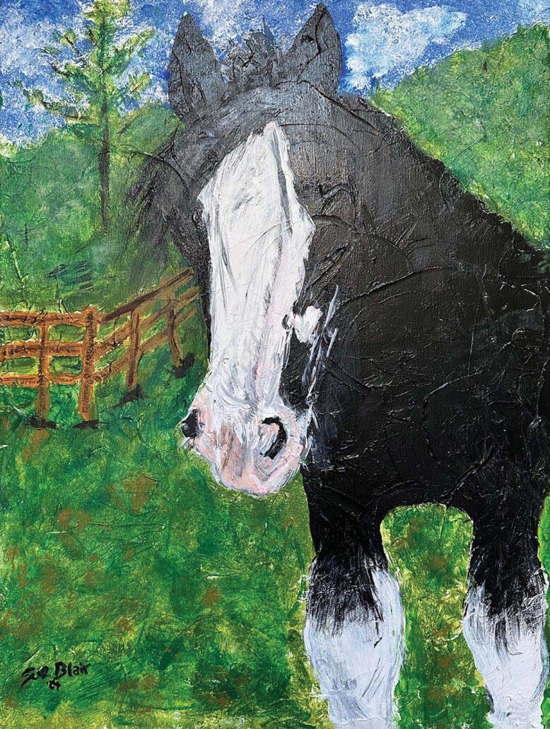 highlands-nc-carpe-diem-horse