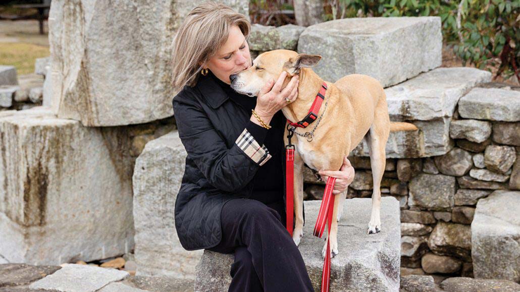 highlands-nc-debby-hall-pup