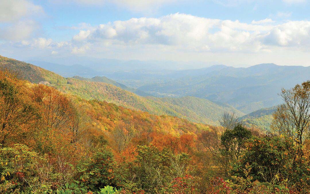 Of Grace And Gratitude