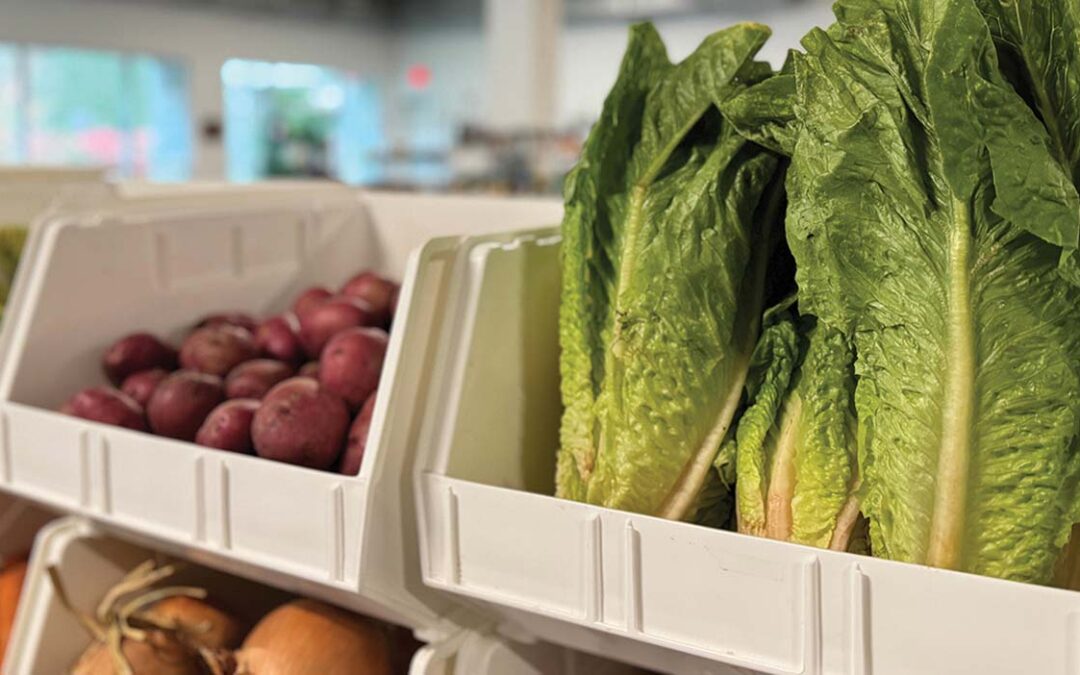 highlands-nc-food-pantry-lettuce