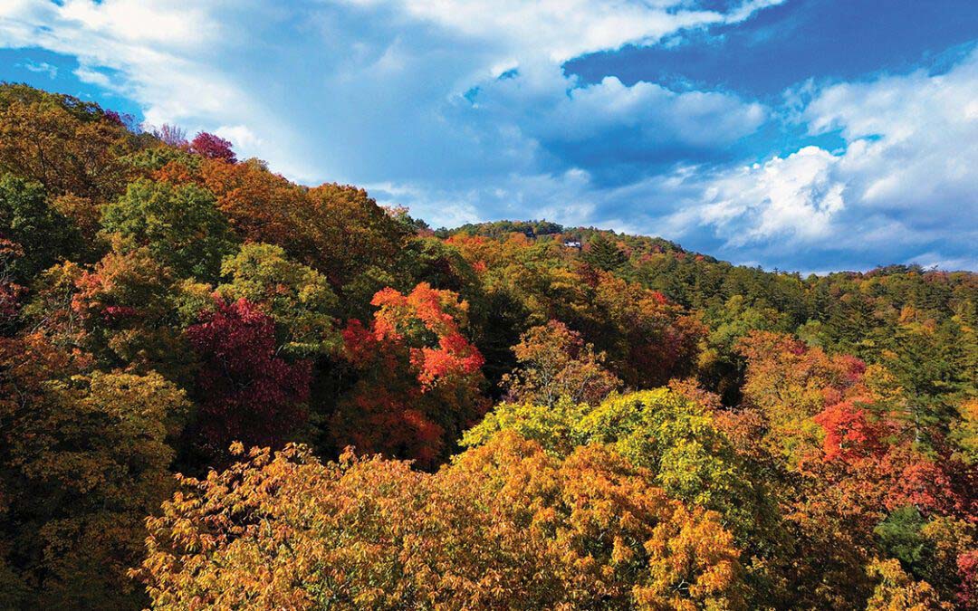 Hiking With Holiday Spirit