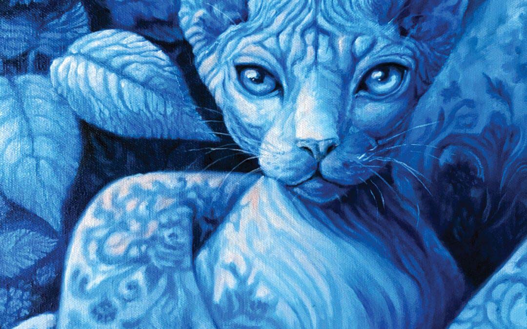 Delving Into The Intuitive