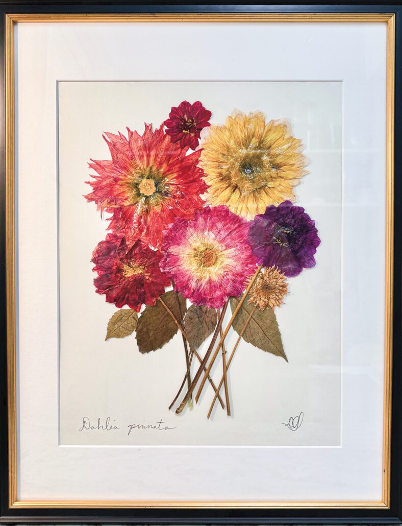 highlands-nc-southern-botanics-colorful