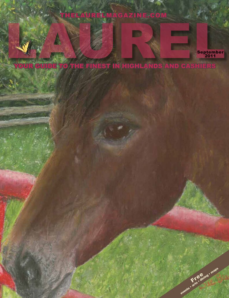 highlands-nc-sue-blair-cover