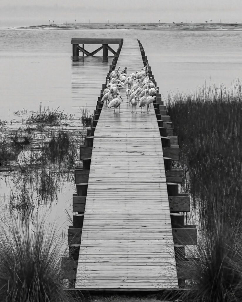 march-cover-fred-crawford-dock