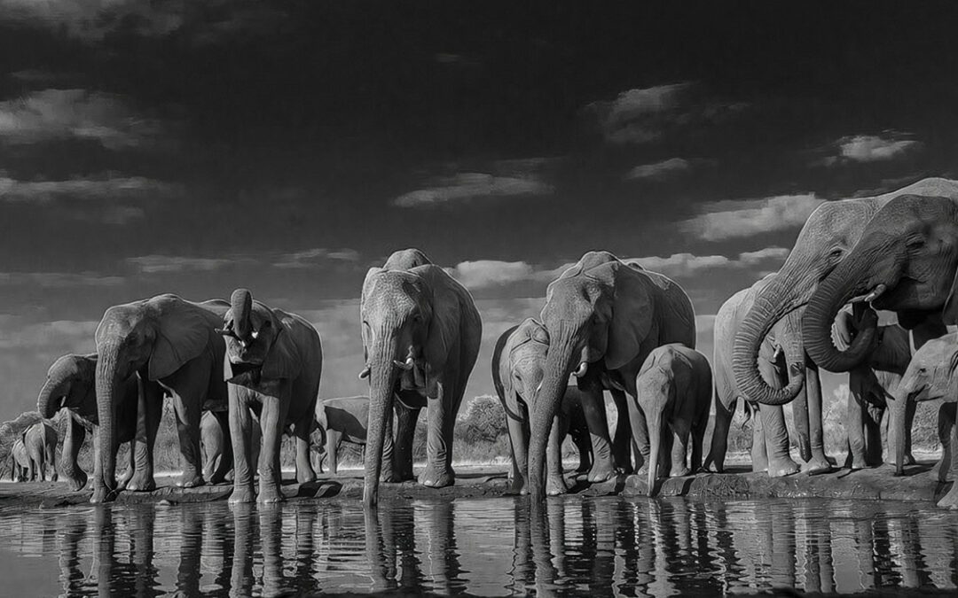 Keeping Hearts in Balance