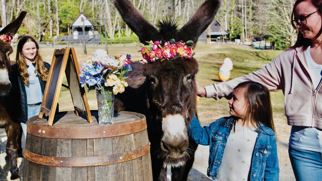 satulah-creek-farm-easter-petting