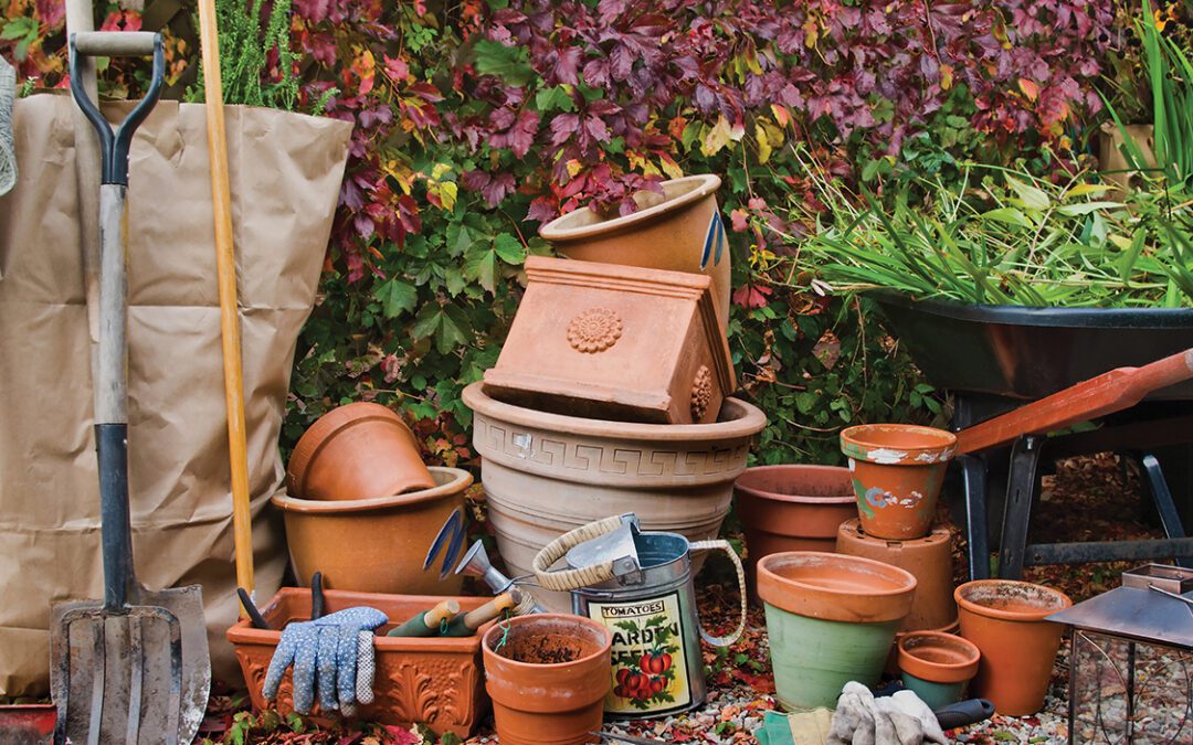 Debby’s Fall Garden Checklist