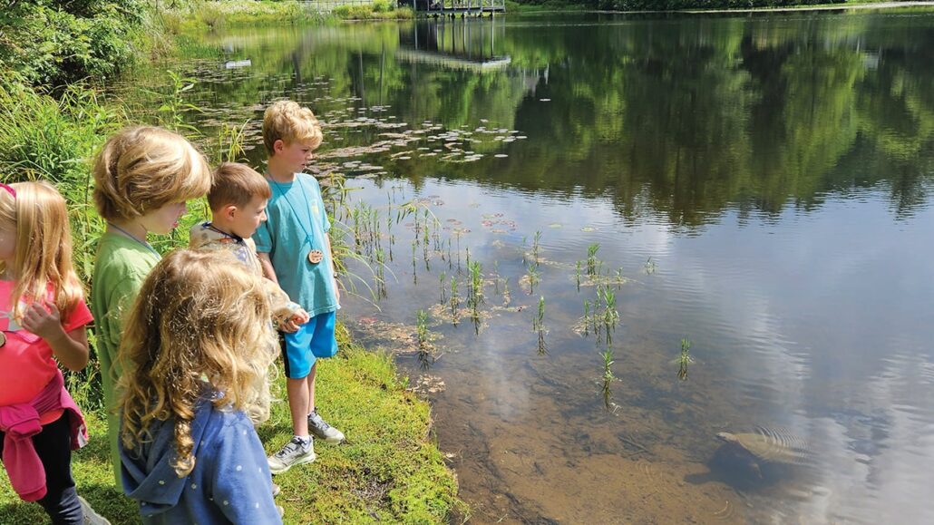 campers-discover-turtle-Highlands-Biological-Foundation