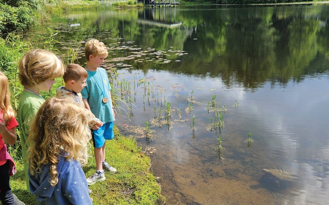 Connecting with Nature