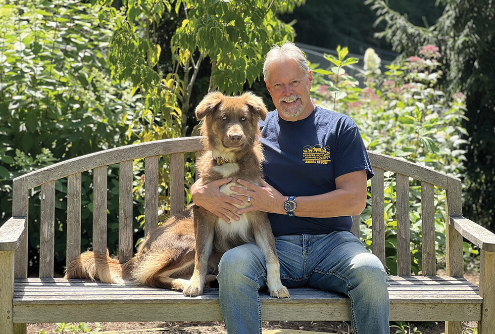 13 Years of Life-Saving Work