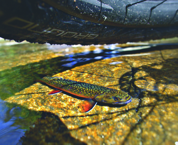 Don’t Make It a Routine!