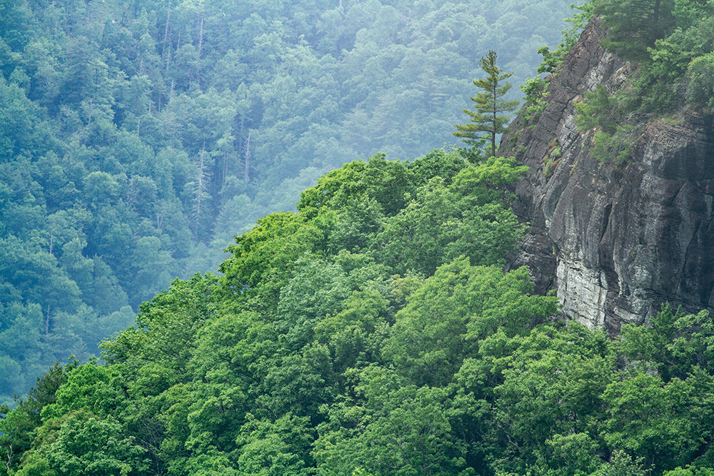 highlands-nc-Whiteside-mountain